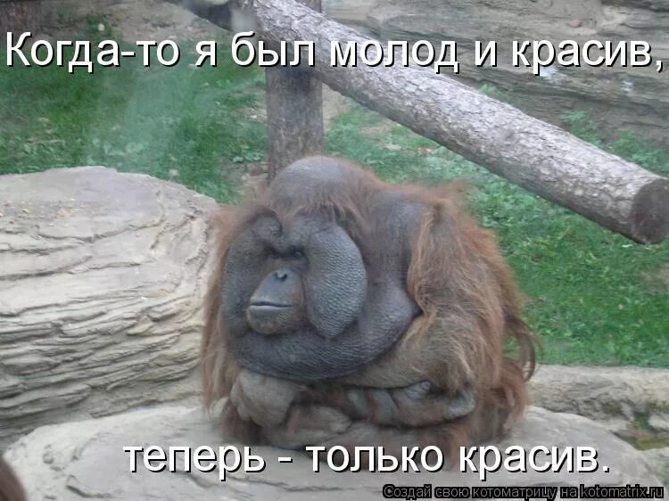 Раньше был молодой и красивый а теперь просто красивый. Раньше я был молод и красив а теперь. Раньше я был молод и красив. Раньше я был молод и красив а теперь. Андрей аржуханов астрахань.