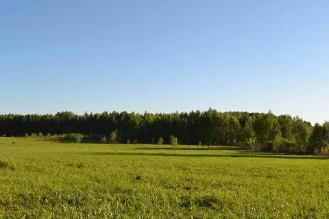 Заостровье ленинградская область ломоносовский