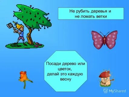 Не ломайте ветви деревьев какое предложение