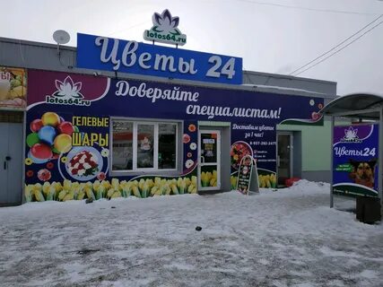Лотос энгельс