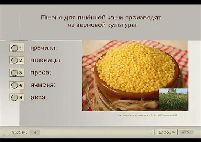 Ответ каша