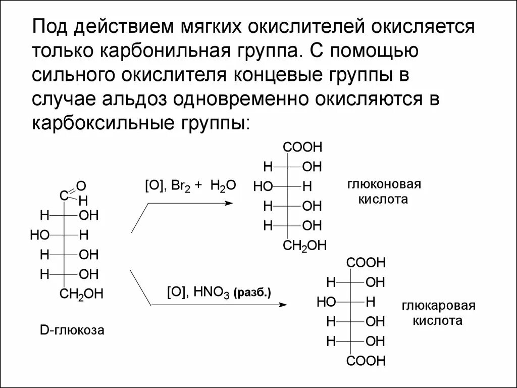 Азотная кислота является сильным