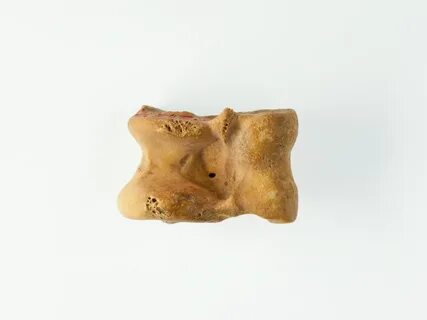 Кость 16