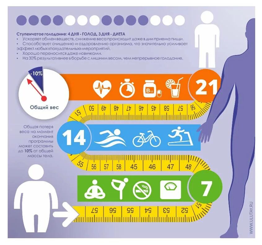 Лечебное голодание. Что происходит при голодании. Изменения организма во время голодания. Лечебное голодание схема. Что происходит при голодании.