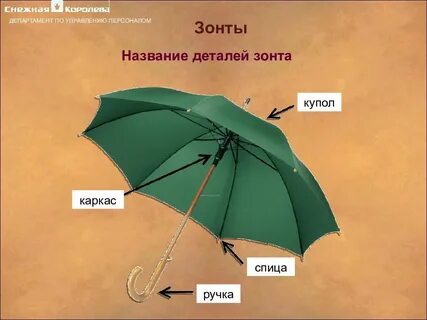 Зонт как называется
