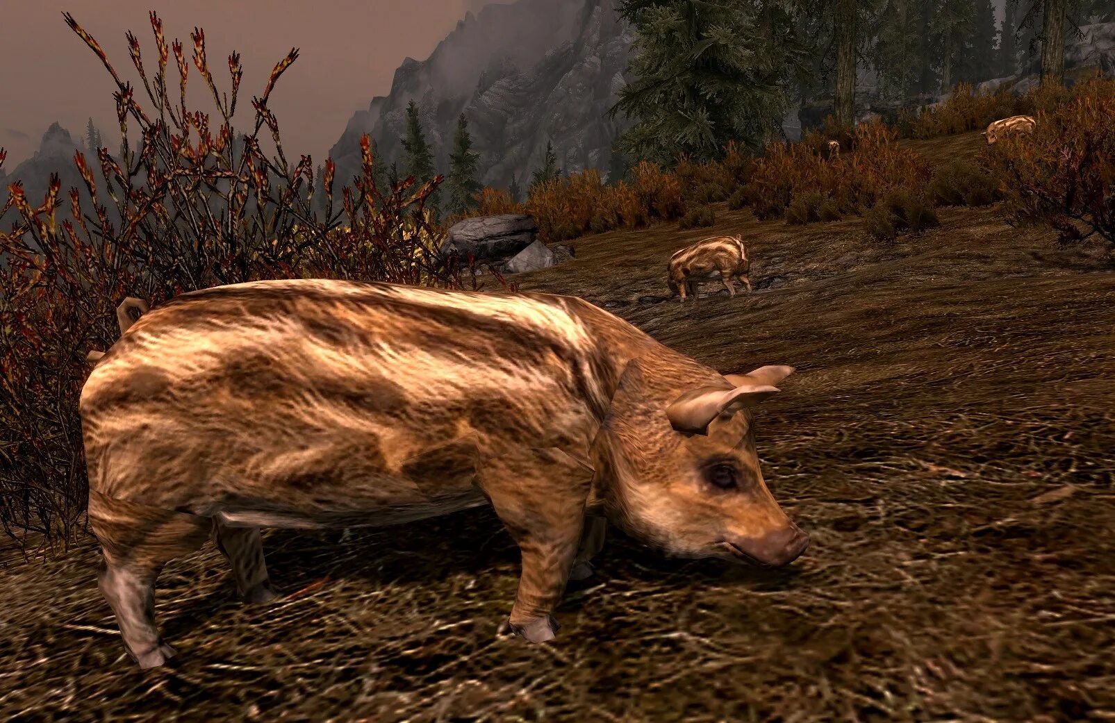 Animals skyrim