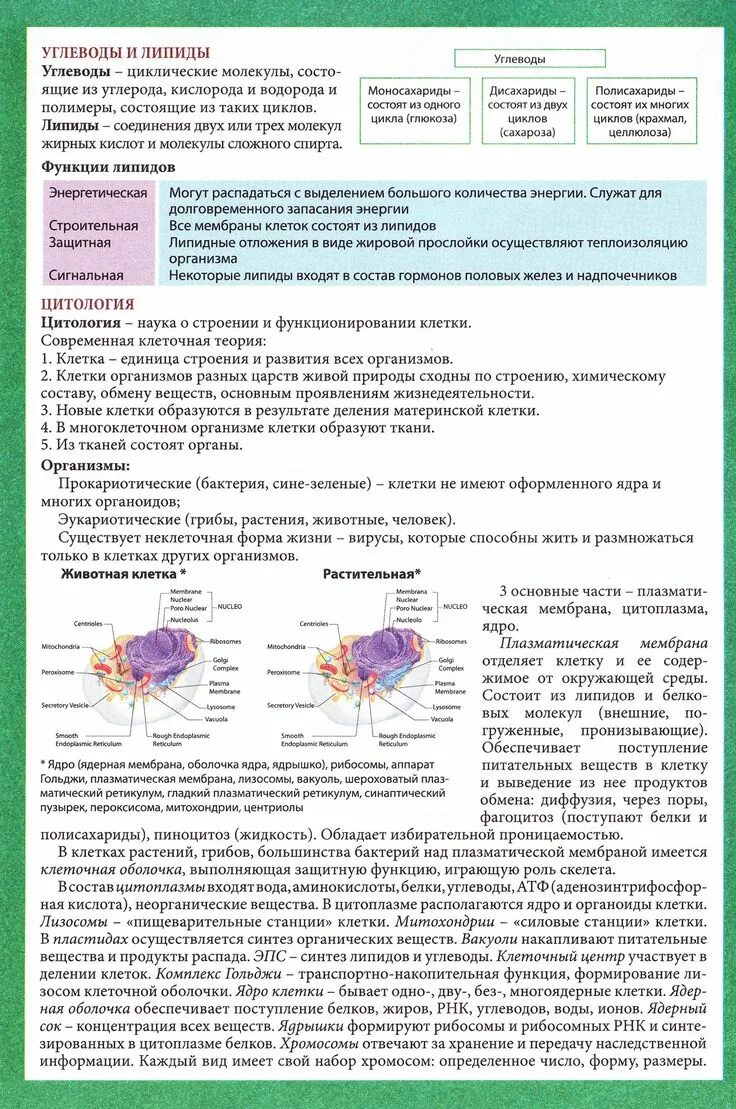 Шпаргалки биология 2023