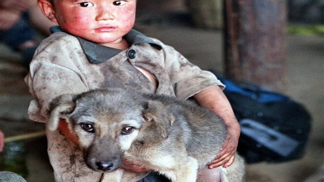 Кто спас зверей от страшного. Добрые люди спасают животных. Доброта спасение животных. Доброта к животным и людям. Героические поступки животных.