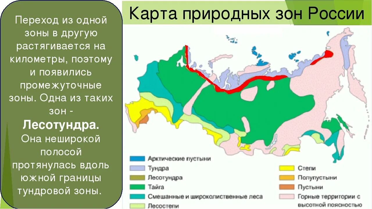 Укажите природную зону наиболее измененную человеком