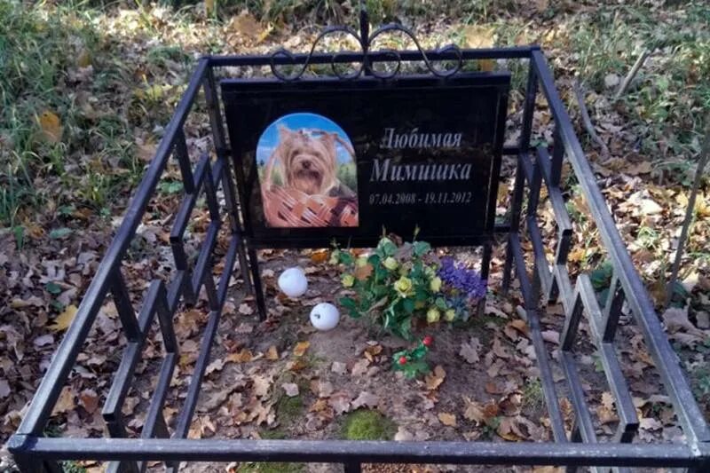 Где хоронят животных