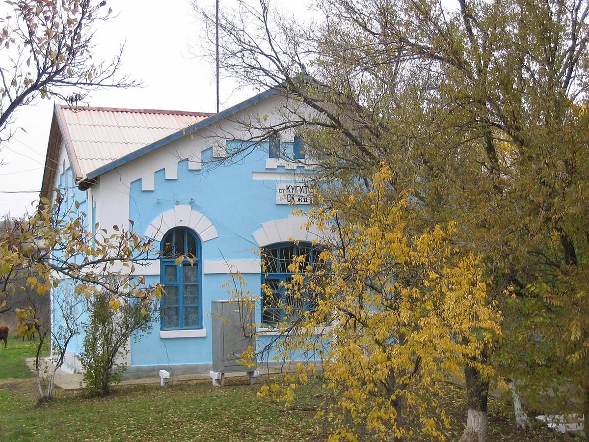 Ты шо кугут. Станция кугуты ставропольский край. Кугуты кто это. Село кугуты ставропольского края. Фото кугутки.