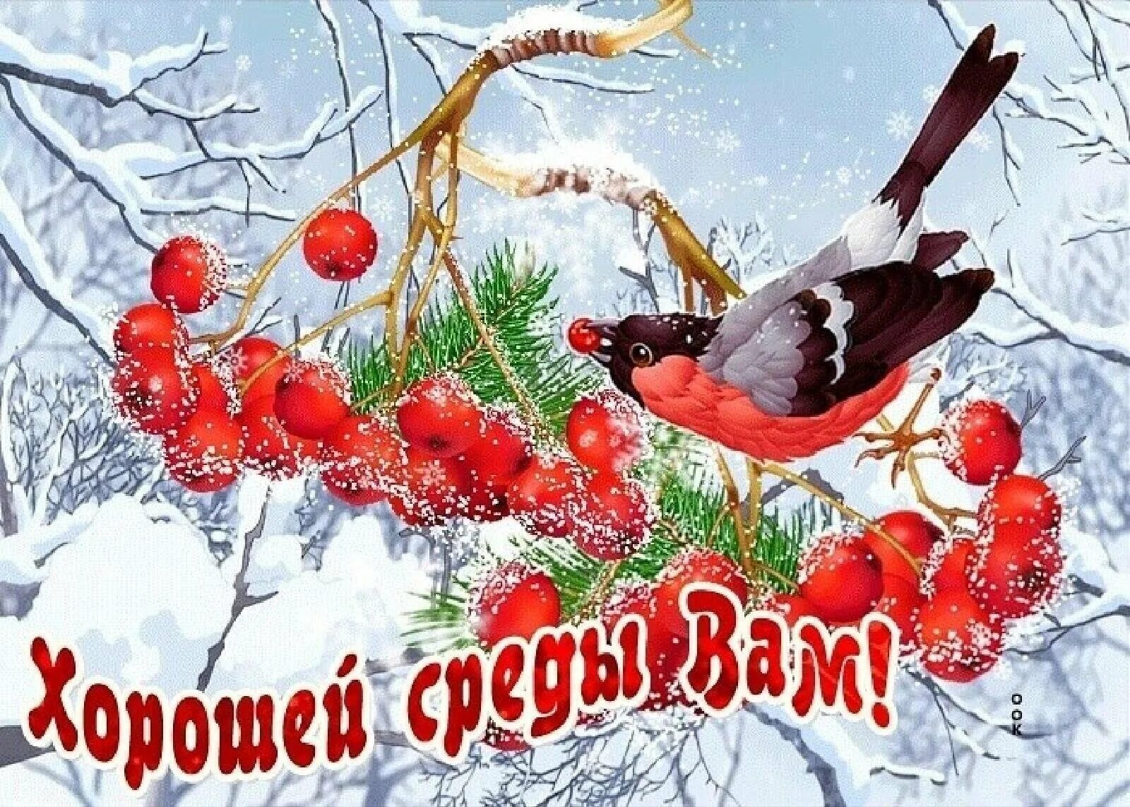 Доброй февральской среды. Доброго зимнего дня. С добрым зимним утром СПЕДВ. Доброгозимнегг утра среды. Зимние поздравления с добрым утром.