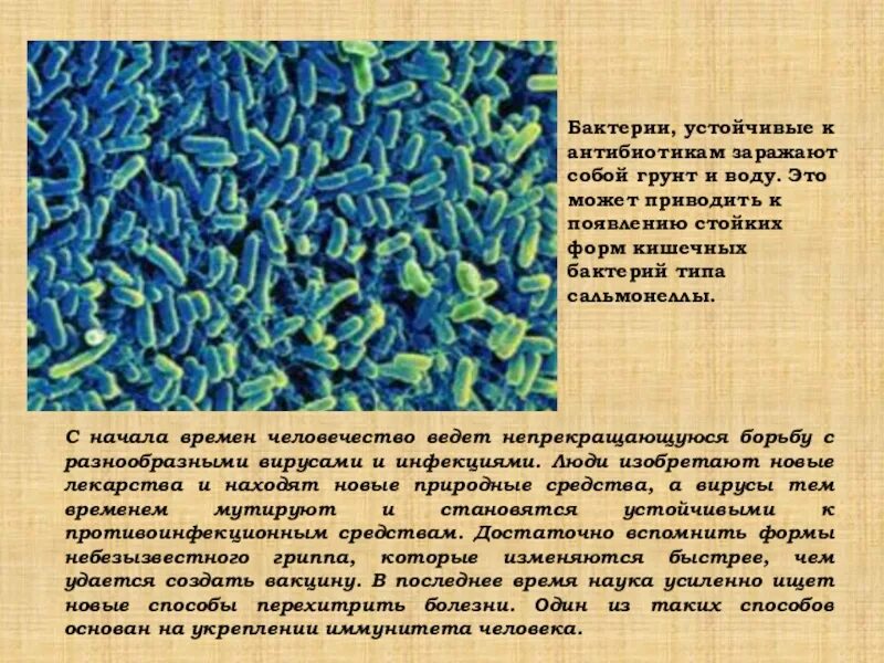 Бактерии устойчивые к антибиотикам. Самые устойчивые бактерии. Классный час про микробы. Бактерии устойчивые к кипению.