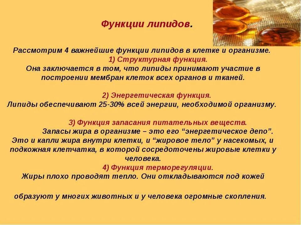 Жиры функции в организме. Функции жиров липидов. Липиды функции и роль в организме человека. Жиры липиды свойства.