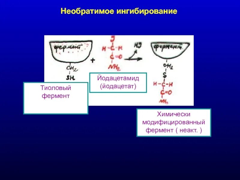 Ингибирование это. Ферментативная кинетика ингибирования. необратимое ингибирование ферментов. тиоловые яды ингибиторы ферментов. тиоловые ферменты.