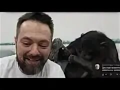 Шимпанзе бони. Шимпанзе бони