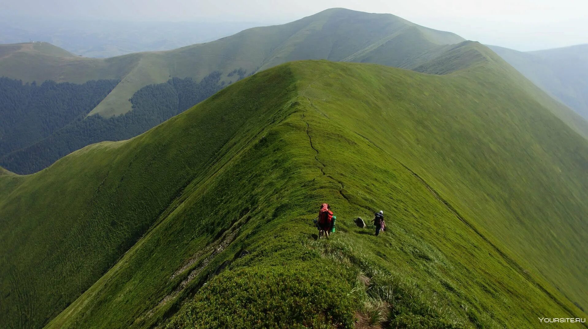 Гора Говерла Украина. Карпатские горы Говерла. Гора Говерла фото. Гора Говерла высота.