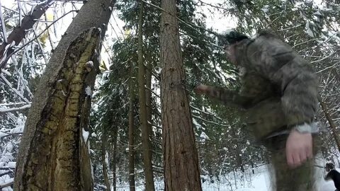 Понять поймать