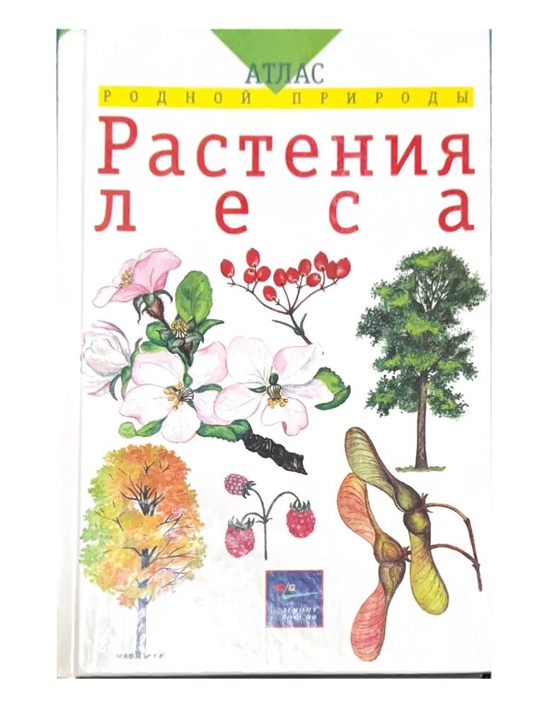Читать книгу о растениях. Книга атлас родной природы растения леса. книга про растения. книги о растениях для детей. книга растения леса.