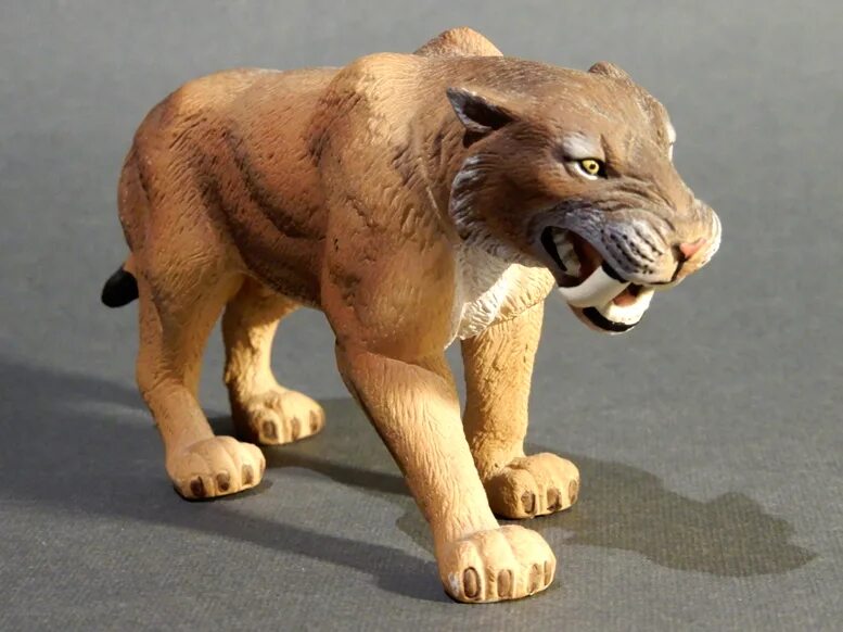 Smilodon. Cмилодон (Саблезубый тигр). Смилодон papo. Саблезубые тигры Смилодоны. Сафари Смилодон Коллекта.