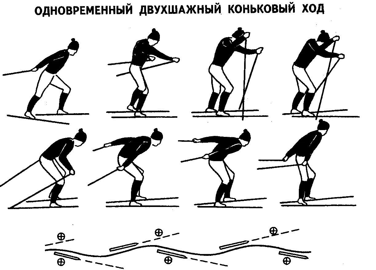 Коньковый ход на лыжах. Коньковых ходов. Коньковых ходов. Техника конькового хода на лыжах. Коньковый стиль на лыжах.