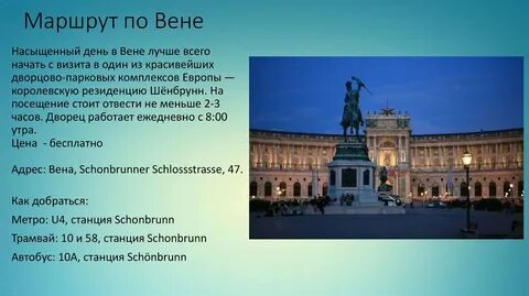 Вена описание