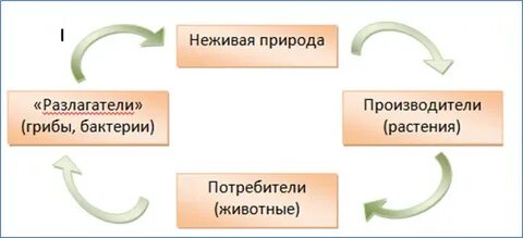 Конспект урока биология 5 класс природное сообщество