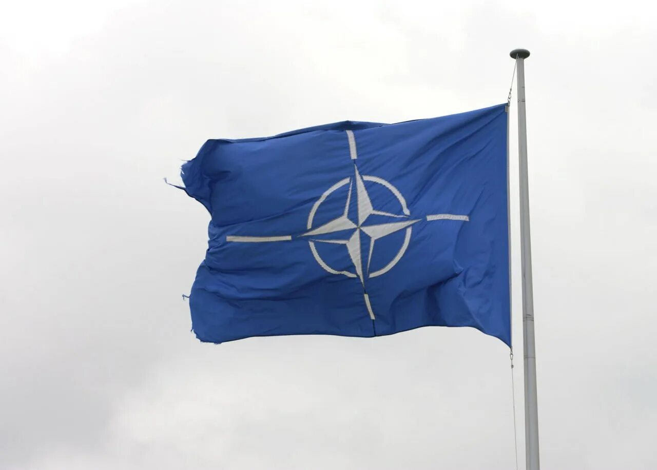 Eu não. Флаг НАТО. Роб Бауэр председатель военного комитета НАТО. Флаг НАТО фото. Знамя НАТО.