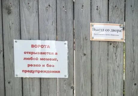 Любовь приходит без предупреждения