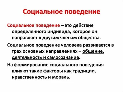 3 элемента социального поведения
