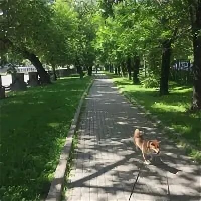 Специалист рубцовская набережная