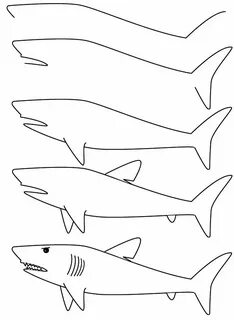 How to Draw a Great White Shark - Really Easy Drawing Tutorial