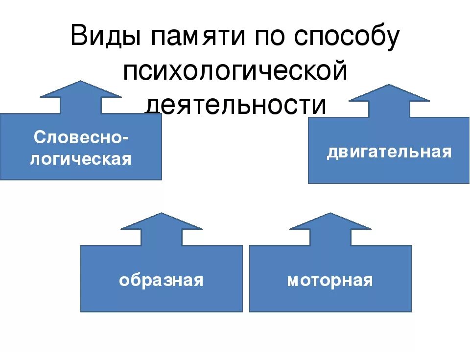 Типы психической активности. Виды памяти по способу психологической деятельности. Запишите виды памяти по способу психологической деятельности. К видам памяти относятся:. Записать виды памяти.