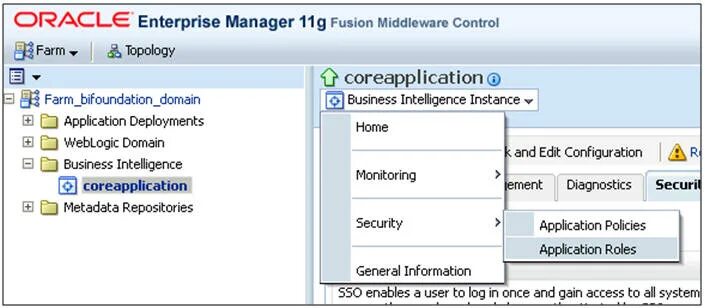 Oracle privileges. Oracle privileges