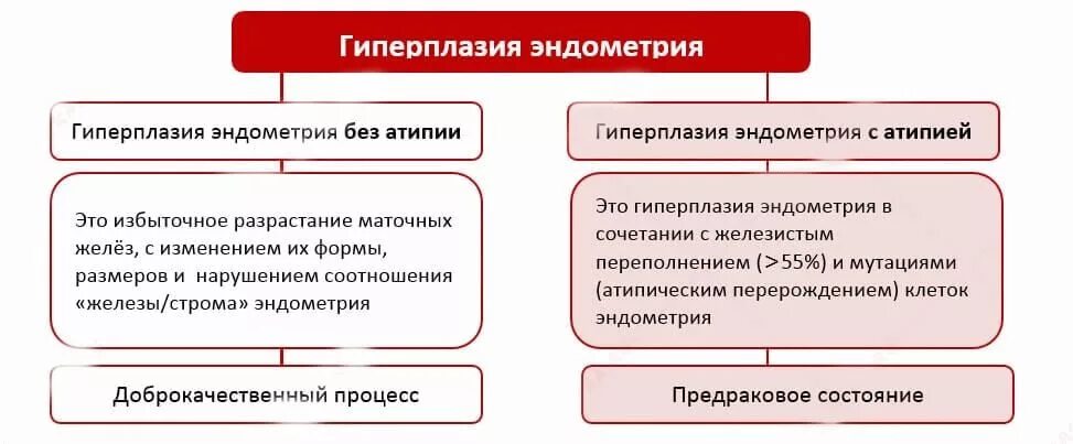 Гиперплазия после менопаузы. Железистая гиперплазия эндометрия патогенез. Патогенетическая терапия гиперплазии эндометрия. Железистая гиперплазия эндометрия классификация. Патогенез гиперплазии эндометрия схема.