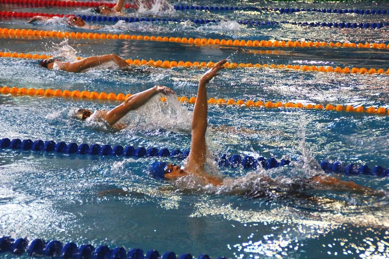 Вольный стиль плавание 50 метров. Первенство россии по плаванию пенза 2023. Разряды в плавании юношеские. Разряды по плаванию вольный стиль. Таблица разрядов по плаванию 2023.