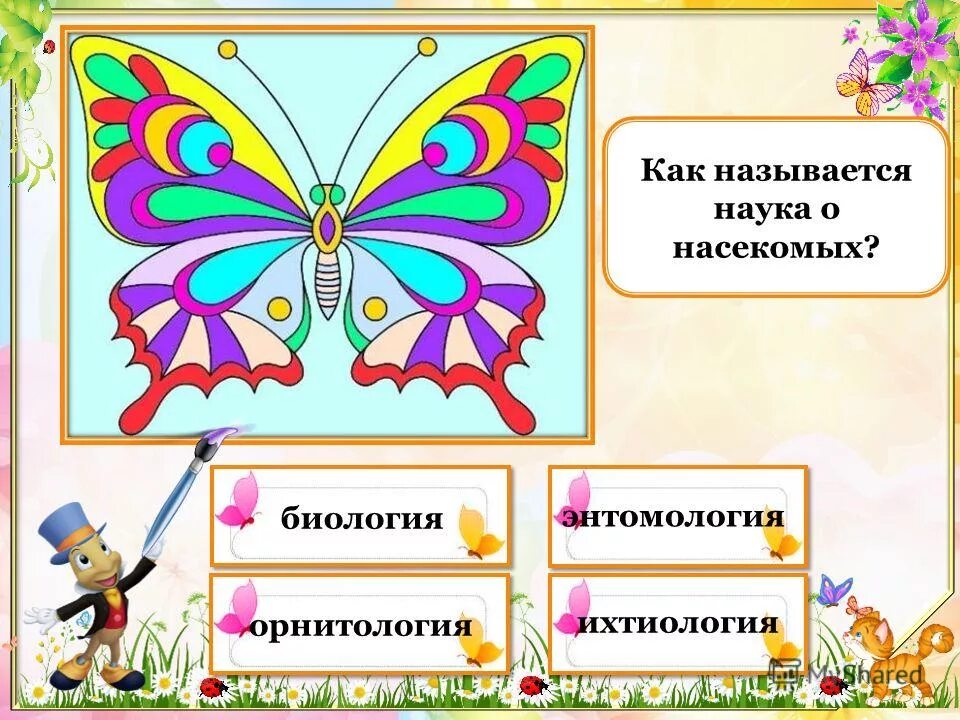 Презентация на тему насекомые. Энтомология это кратко. Энтомология это наука. Как называется наука о насекомых. Как называется наука о насекомых.