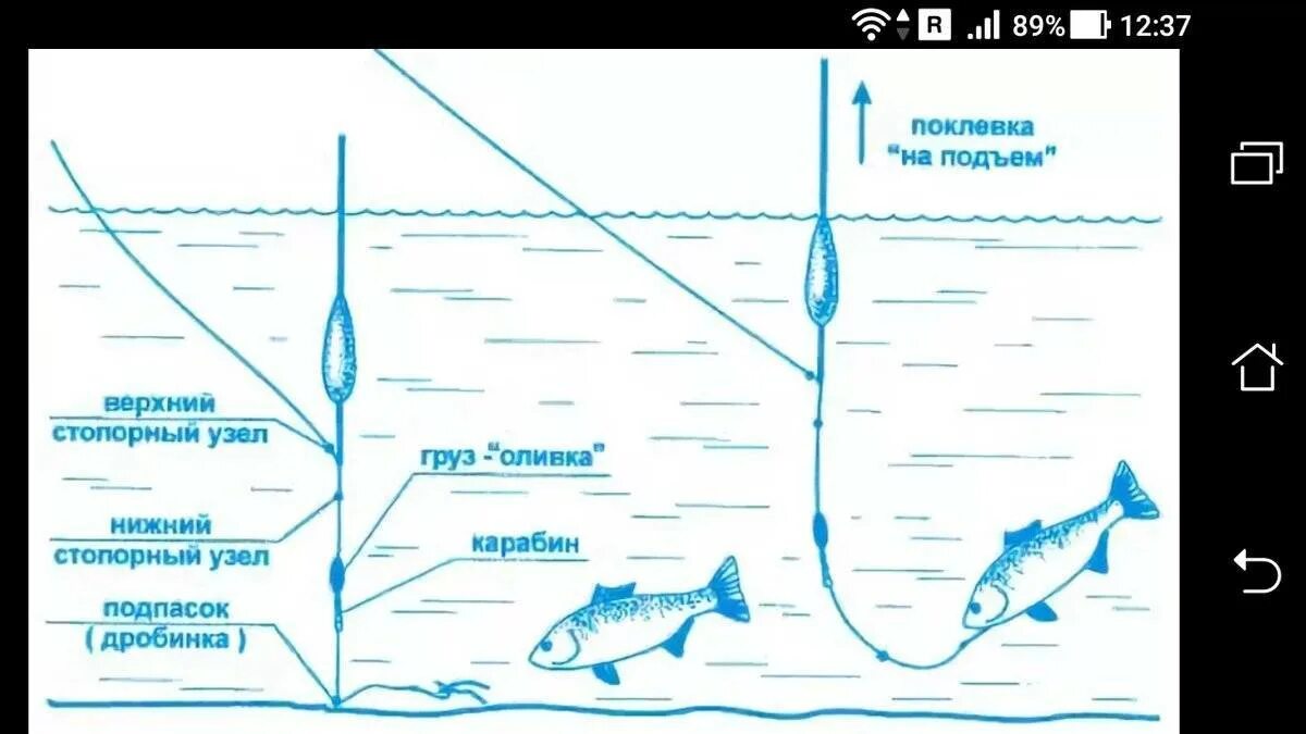 Ловля на поплавочную удочку на пруду. Схема поплавочной снасти на карася. Правильная поплавочная оснастка. Как ловить карася на удочку. Поплавочная оснастка на карася схема.