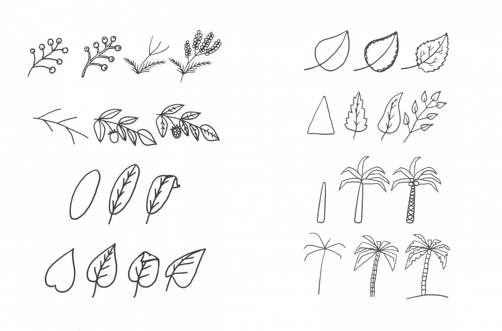 Графика первые уроки. Поэтапное рисование растений. Схемы рисования для дошкольников. Схемы рисования растений для дошкольников. Цветы для рисования.