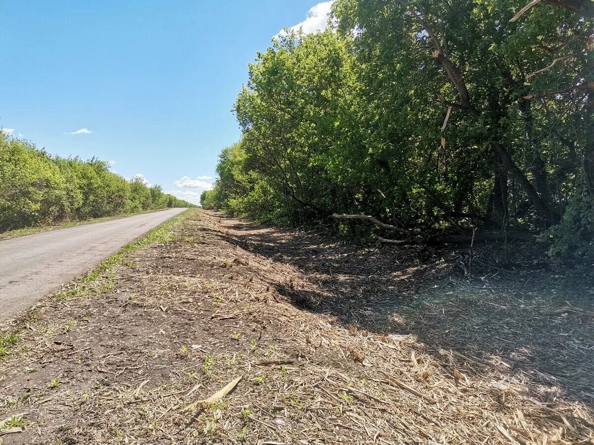 Погода старые дороги на 10 дней. Село нижняя Ведуга Семилукский район Воронежская область. Старая Ведуга Семилукский район Воронежская область. Заросшая дорога. Старая дорога.