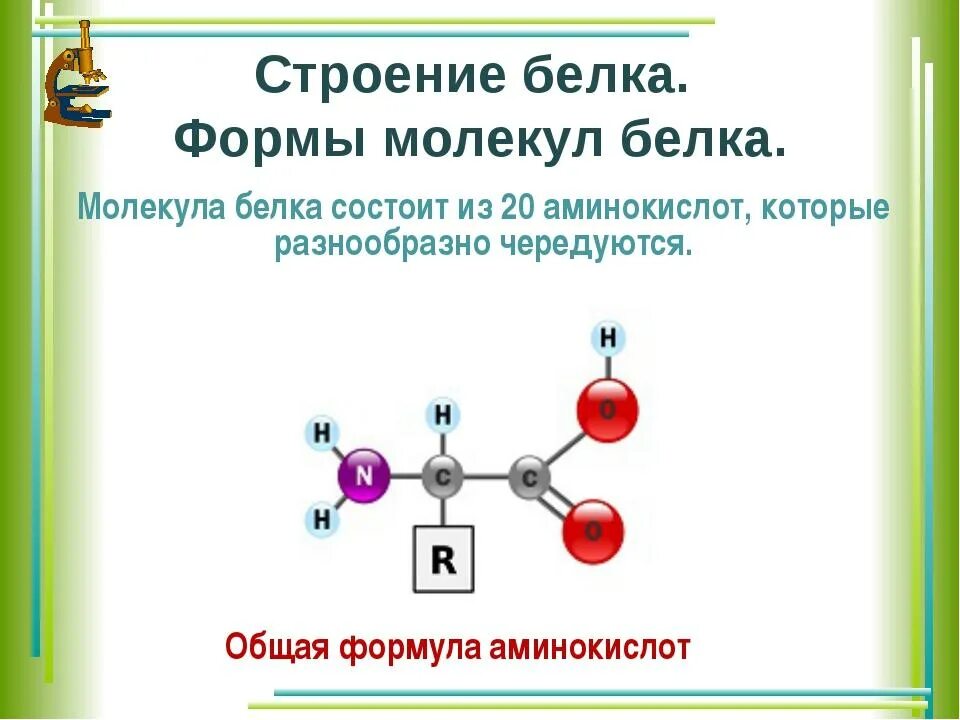 Общая формула строение молекулы