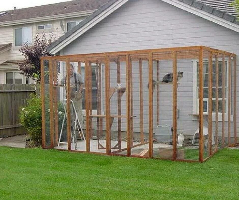 Вольеры для животных. Вольер для собаки №2 2х3 м. Вольер с будкой для собаки. Вольер металлический. Металлический вольер для собаки.