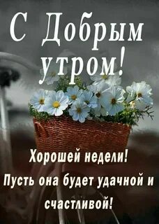 Отзывы о добром утре