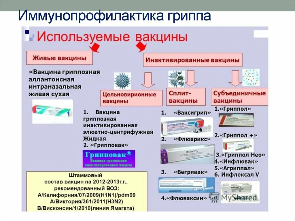 Живые вакцины непригодные к использованию относятся. Иммунопрофилактика вакцины сыворотки таблица. Иммунопрофилактика инфекционных заболеваний. Методы иммунопрофилактики инфекционных заболеваний. Иммунопрофилактика инфекционных заболеваний презентация.