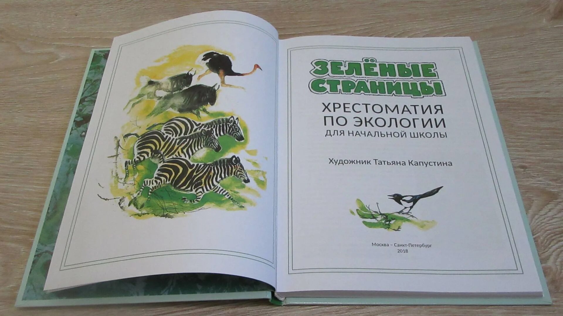 Ecology book. Книги по экологии для детей. Детские книги про экологию. Книги про экологию для детей. Детская книга про экологию.