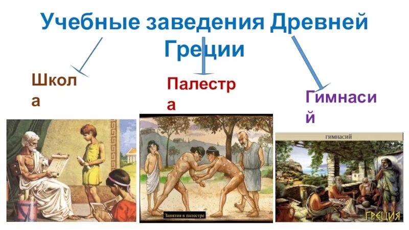 Чему учили в афинских школах 5. Школы и гимнасии в древней Греции. Школа в древней Греции 5 класс. Афинские школы и гимнасии в древней Греции. Афинские школы и гимнасии в древней Греции 5 класс.