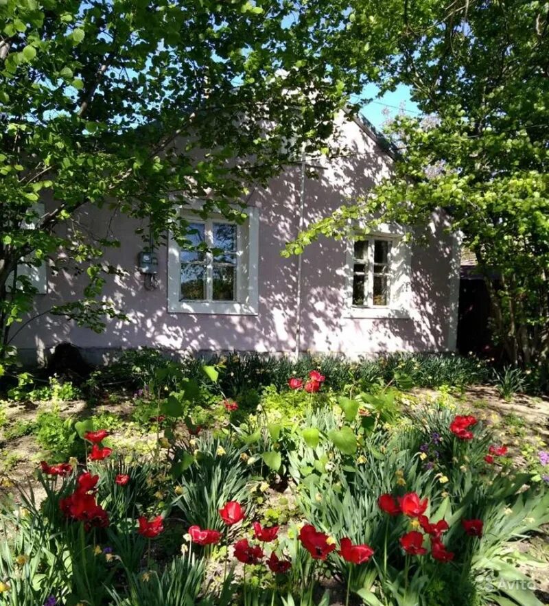 Продается дом с садом. Дом с участком. Деревня лаврики всеволожский район. На даче. Красивые дачные дома.