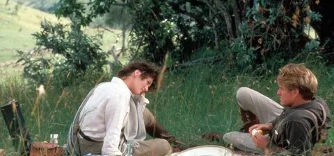 Safari romance