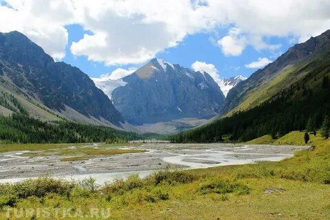 Алтайский заре