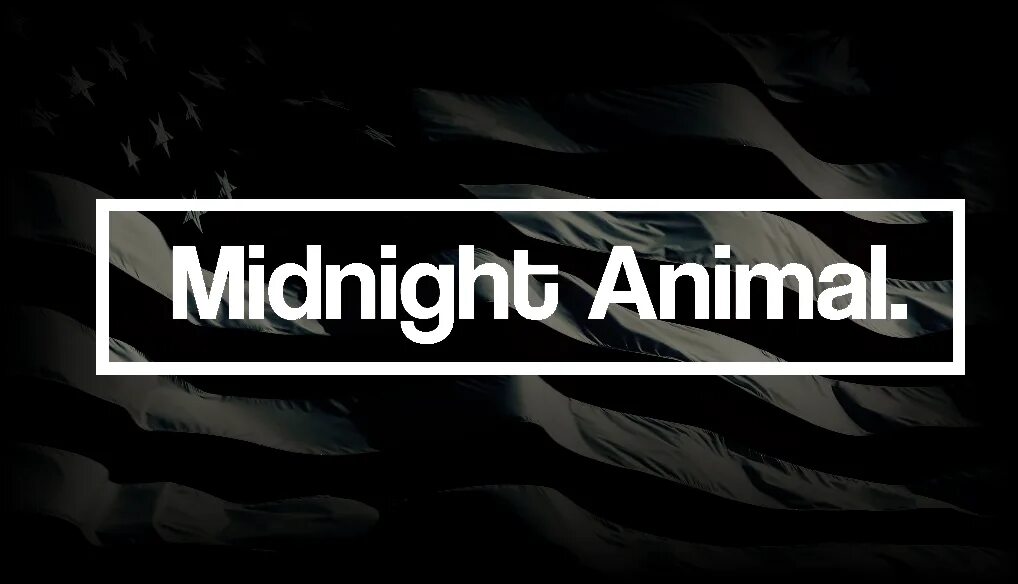 Midnight animal